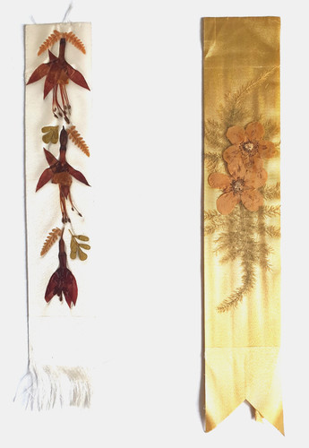 Dried pressed flowers - 2x,